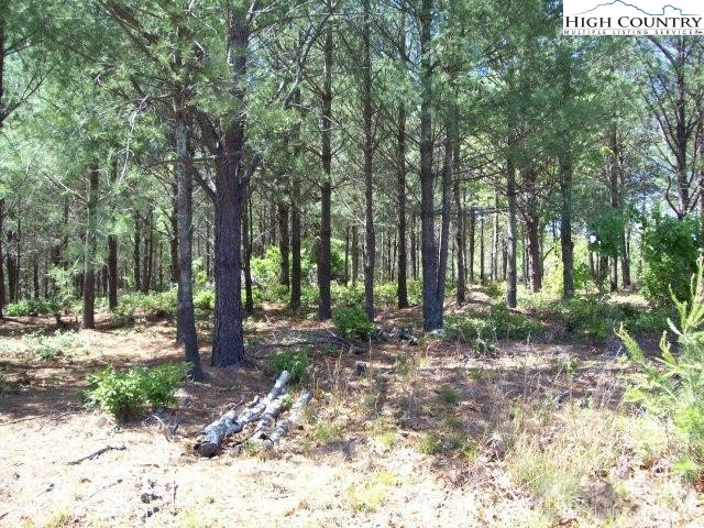 1552 Bear Cliff Drive Lake Property Photo 3