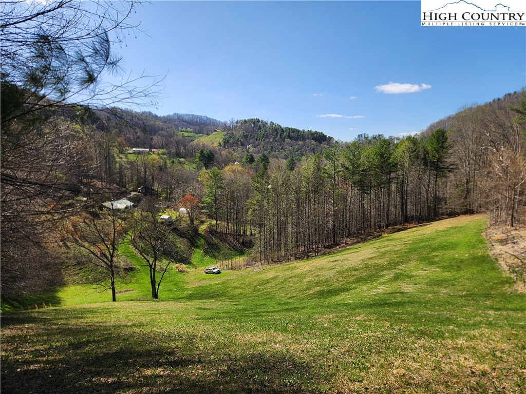 6033 Hwy 321 Highway Property Photo 1