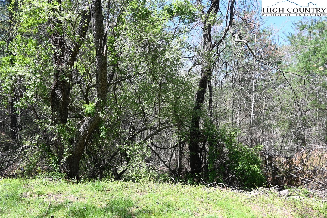 15A River Bend Hills Road