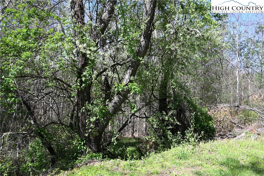 15a River Bend Hills Road Property Photo 2