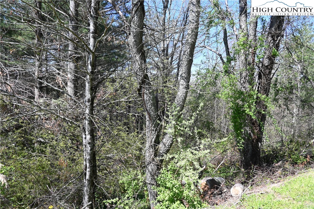 15a River Bend Hills Road Property Photo 4