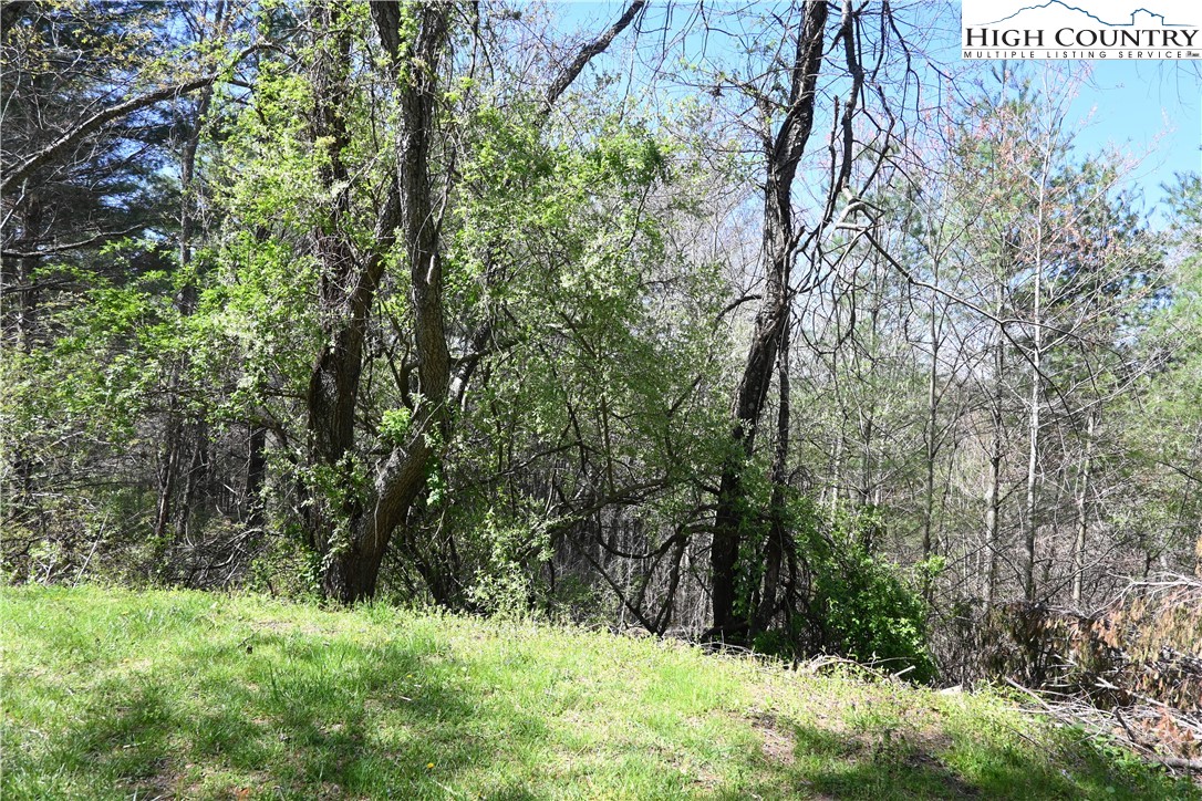 15a River Bend Hills Road Property Photo 6
