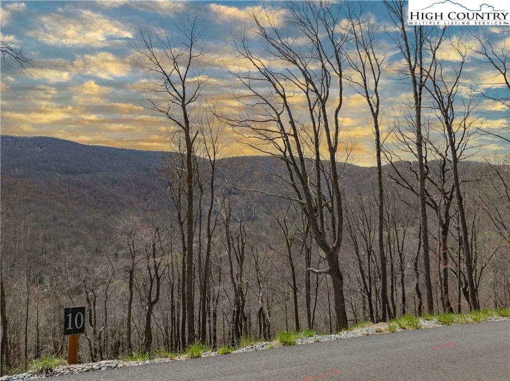 Lot 10 Poplar Forest Drive Property Photo 1