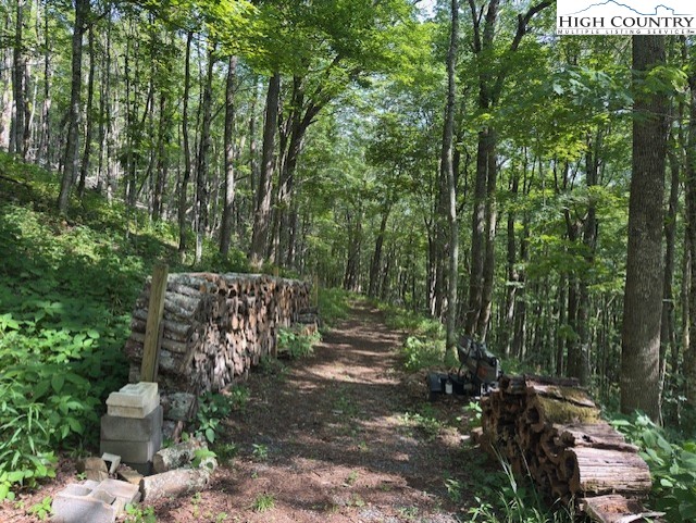 796 Goat Mountain Road Property Photo 2