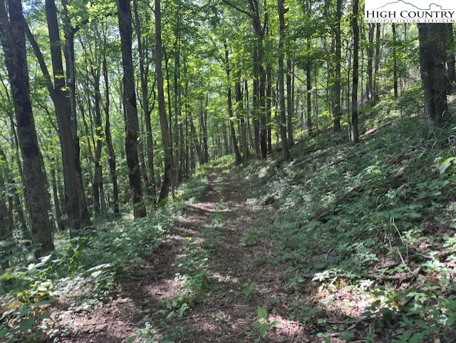 796 Goat Mountain Road Property Photo 3