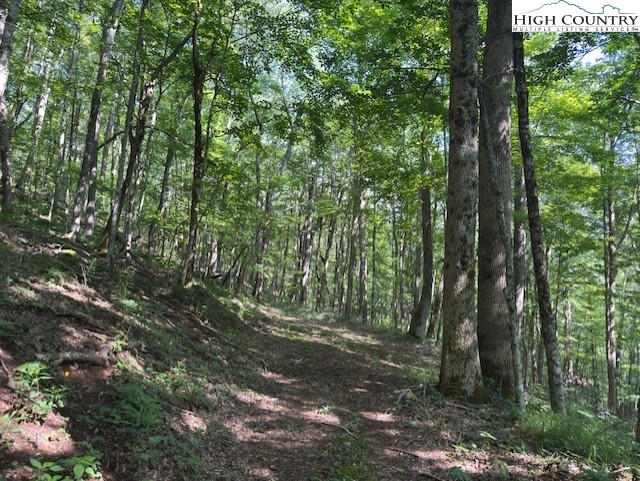 796 Goat Mountain Road Property Photo 4