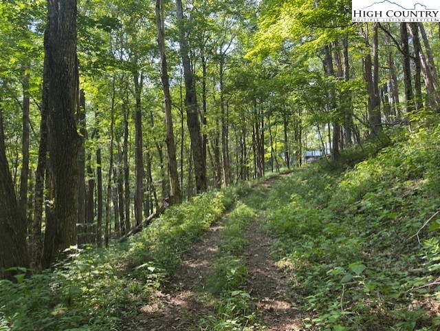 796 Goat Mountain Road Property Photo 5
