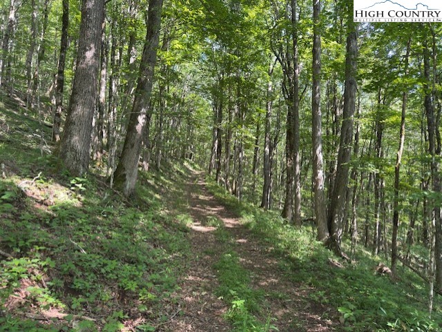 796 Goat Mountain Road Property Photo 6