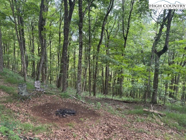 796 Goat Mountain Road Property Photo 7