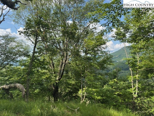 796 Goat Mountain Road Property Photo 8