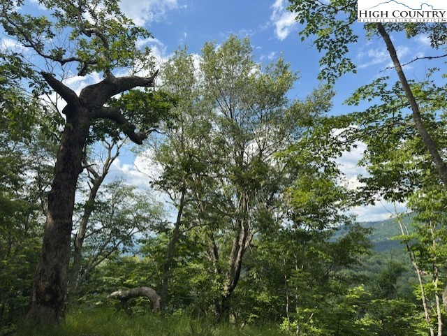 796 Goat Mountain Road Property Photo 9