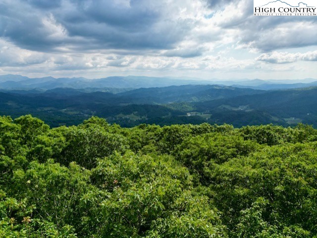 796 Goat Mountain Road Property Photo 11