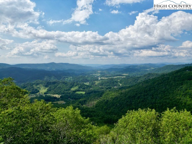 796 Goat Mountain Road Property Photo 14
