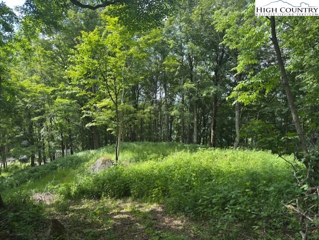 796 Goat Mountain Road Property Photo 16