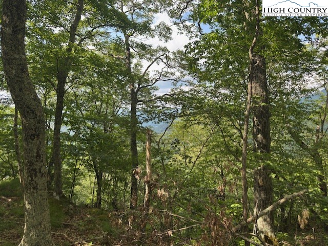 796 Goat Mountain Road Property Photo 18
