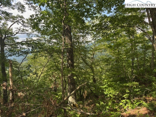 796 Goat Mountain Road Property Photo 19