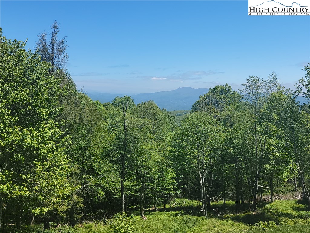 Tbd Fox Fire Drive Property Photo 1