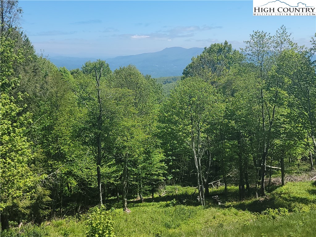 Tbd Fox Fire Drive Property Photo 2