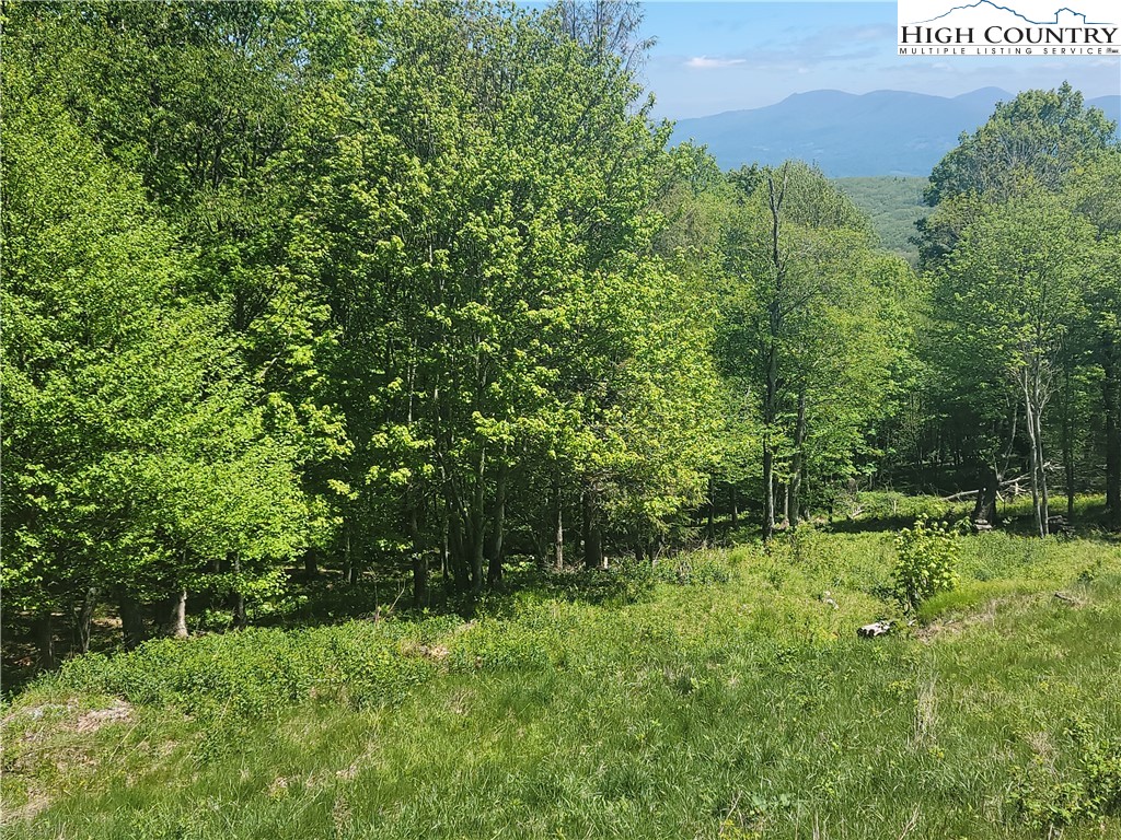 Tbd Fox Fire Drive Property Photo 3