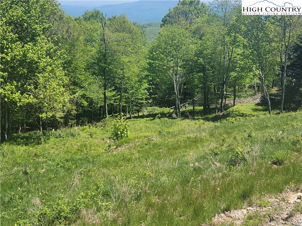 Tbd Fox Fire Drive Property Photo 4