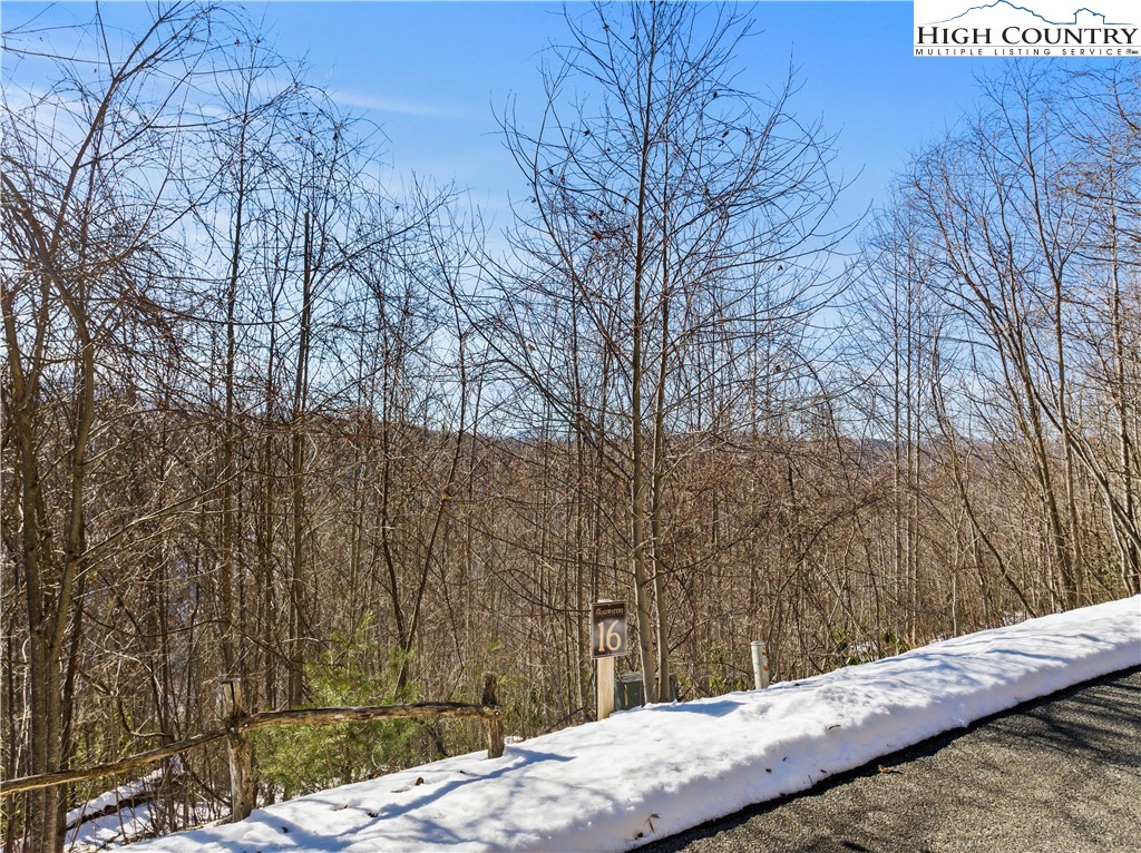 Lot 16 Lake View Drive Property Photo 2