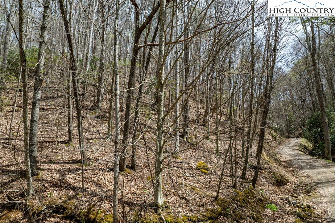 Tbd Culbertson Lane Property Photo 2