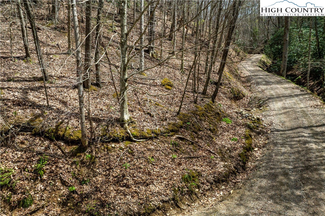 Tbd Culbertson Lane Property Photo 21