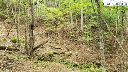Fall Creek Meadows Fall Creek Meadows Lane Property Photo 1
