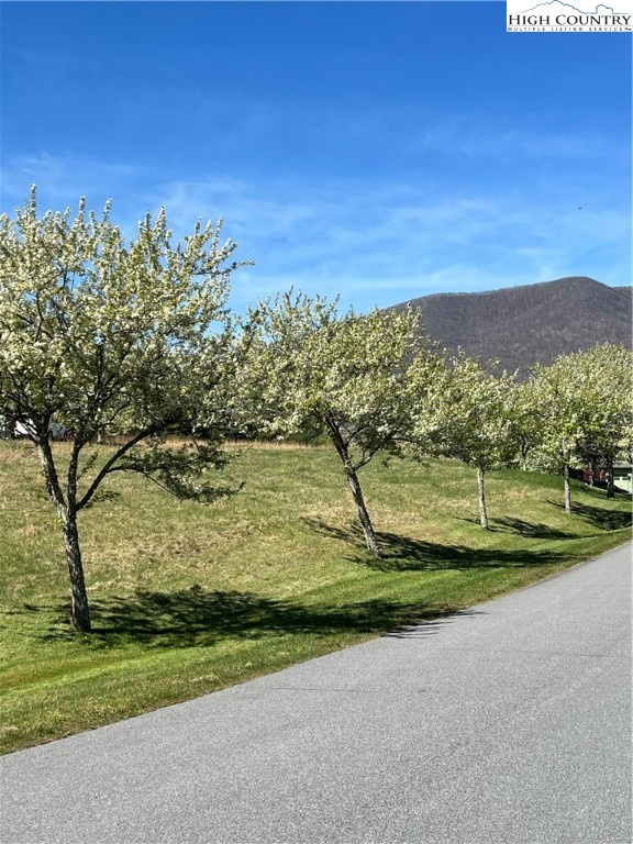 Lot 14 & 15 Meadowbrook Property Photo 5