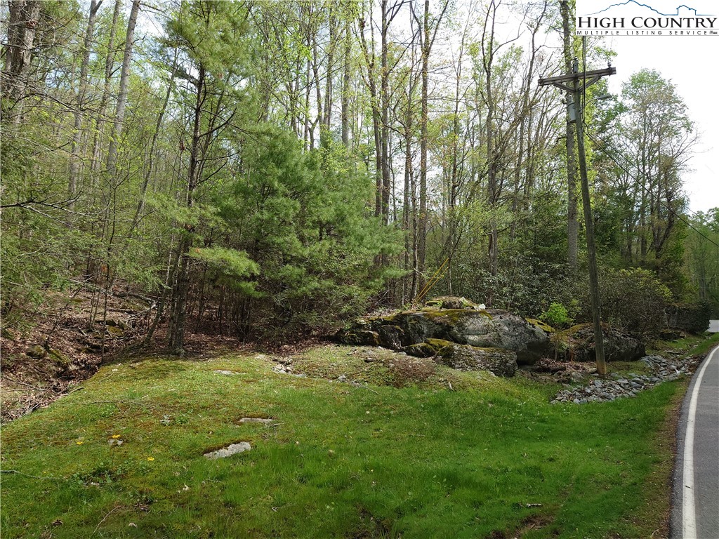 Tbd Evergreen Property Photo 1