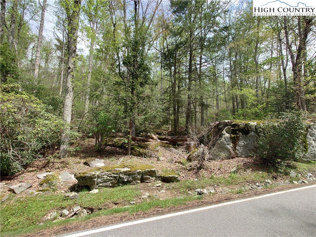 Tbd Evergreen Property Photo 6