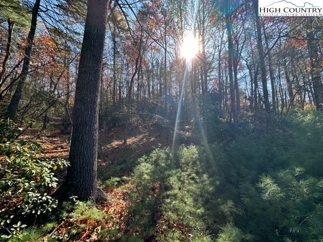 Lot 27 Walden Lane Property Photo 3