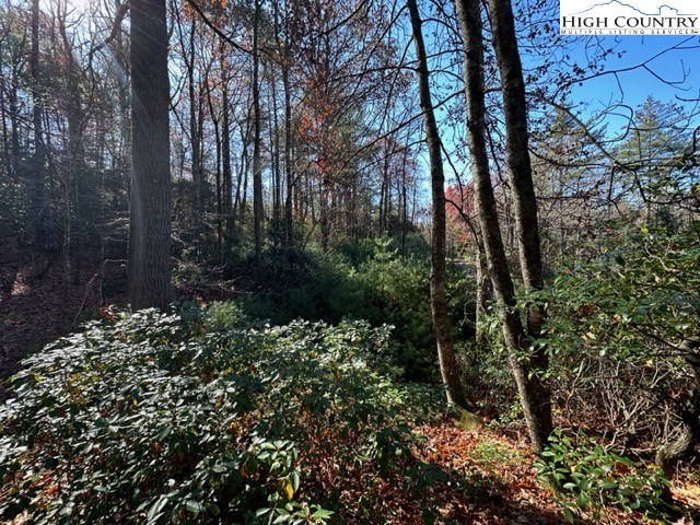 Lot 27 Walden Lane Property Photo 5