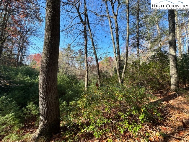 Lot 27 Walden Lane Property Photo 6