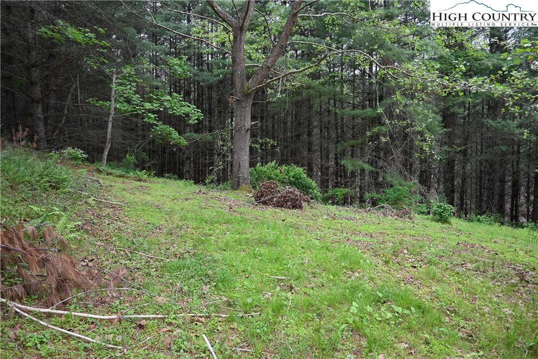 102 Tielcroft Road Property Photo 2