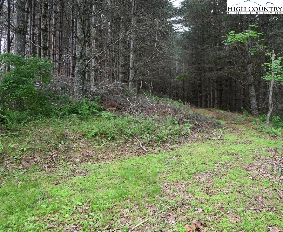 102 Tielcroft Road Property Photo 3