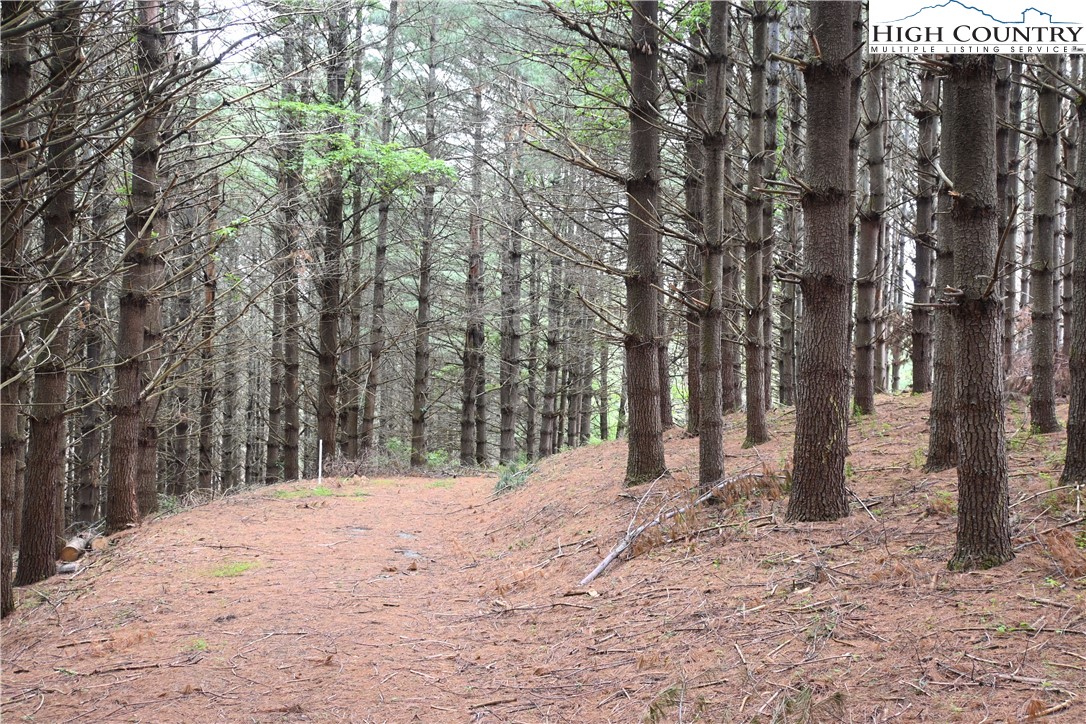 102 Tielcroft Road Property Photo 4