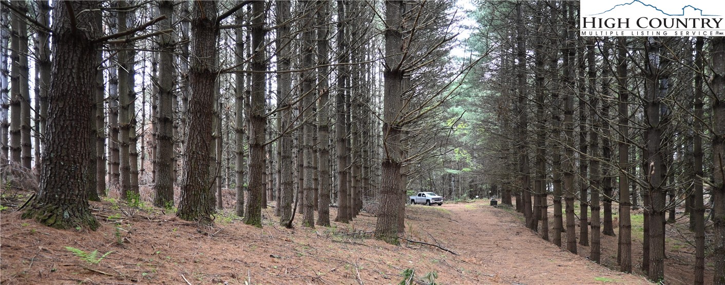 102 Tielcroft Road Property Photo 5