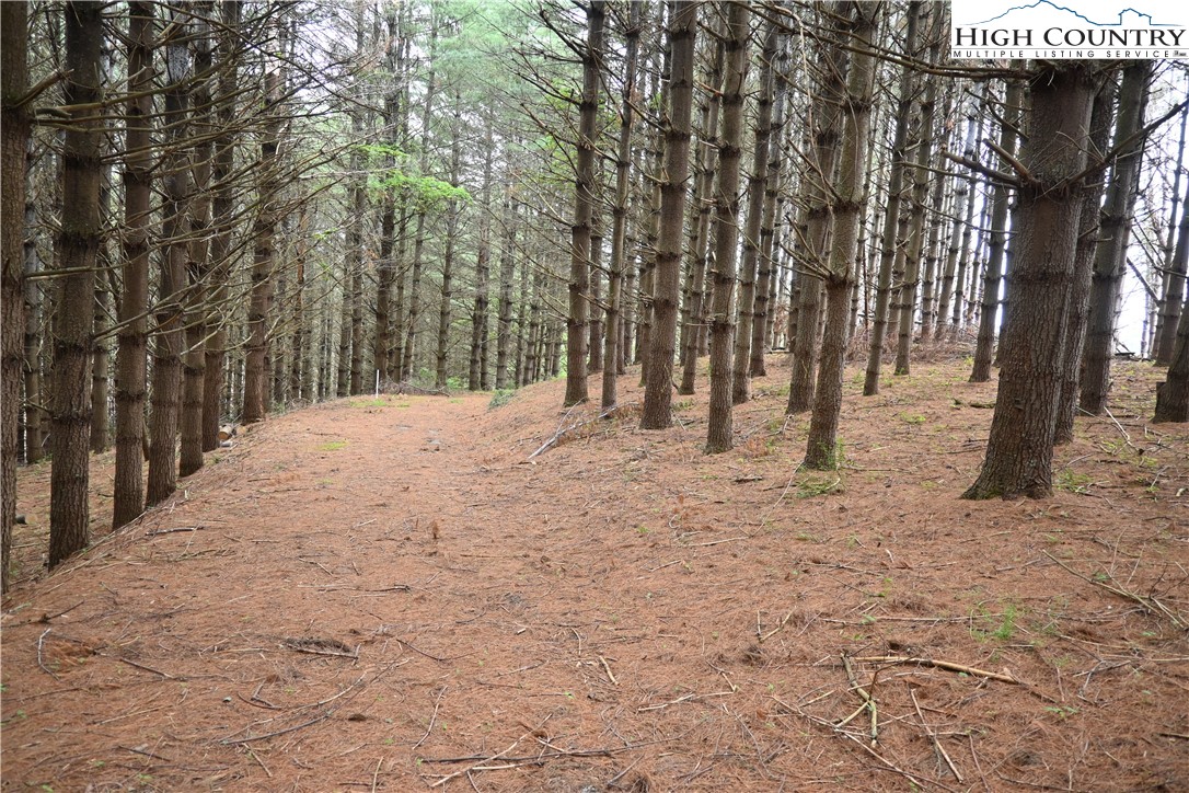 102 Tielcroft Road Property Photo 6