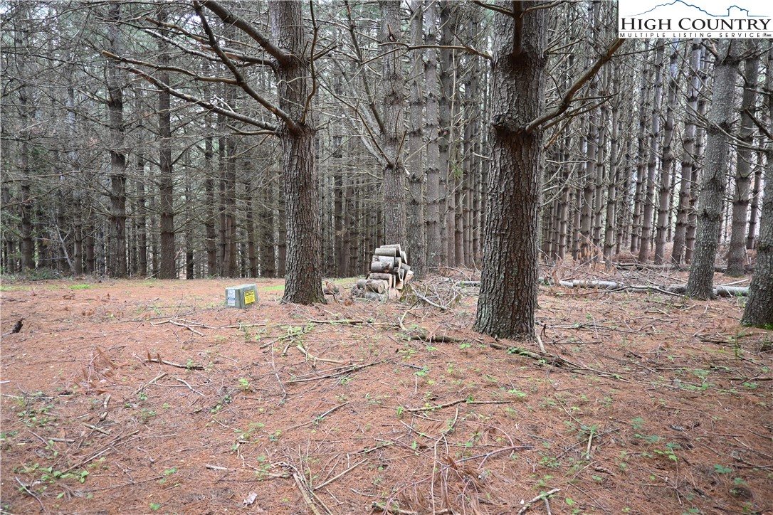 102 Tielcroft Road Property Photo 8