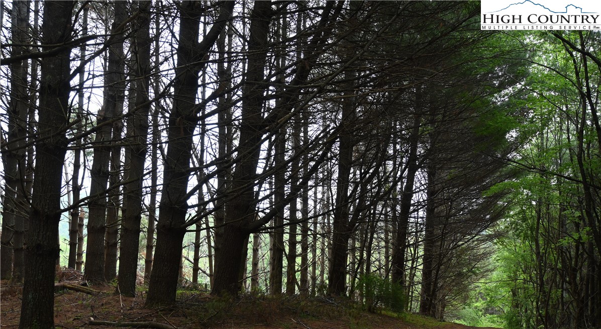 102 Tielcroft Road Property Photo 9