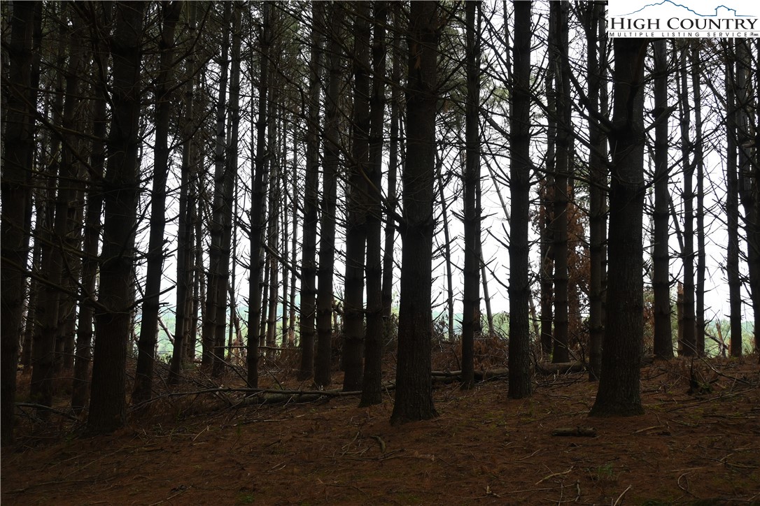 102 Tielcroft Road Property Photo 10