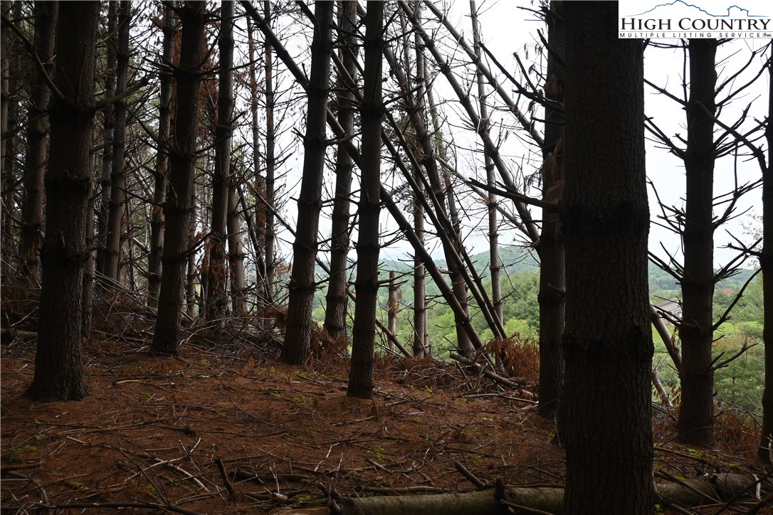 102 Tielcroft Road Property Photo 11