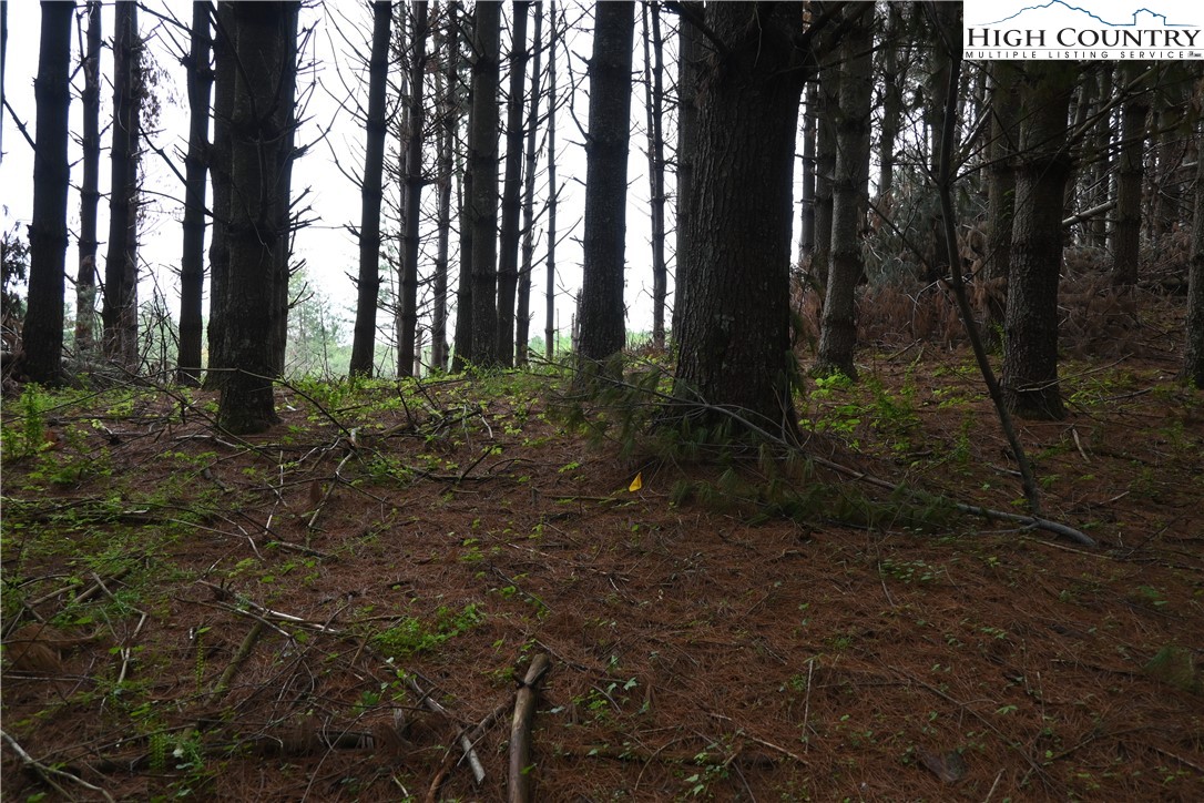 102 Tielcroft Road Property Photo 12