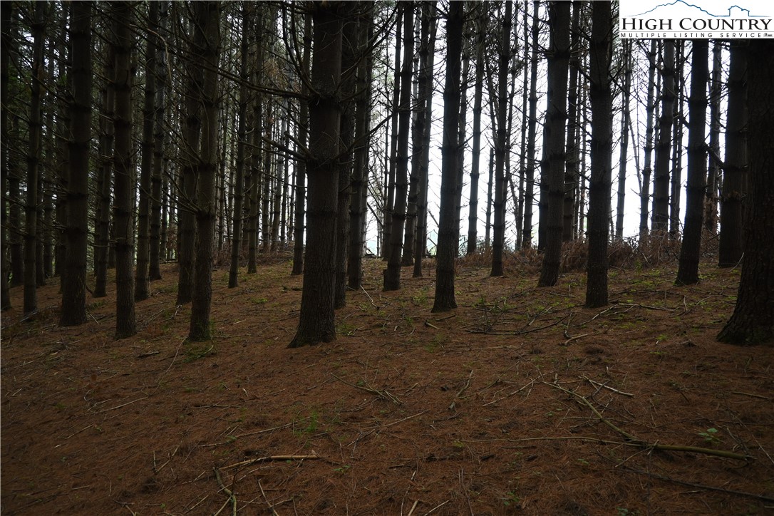 102 Tielcroft Road Property Photo 13