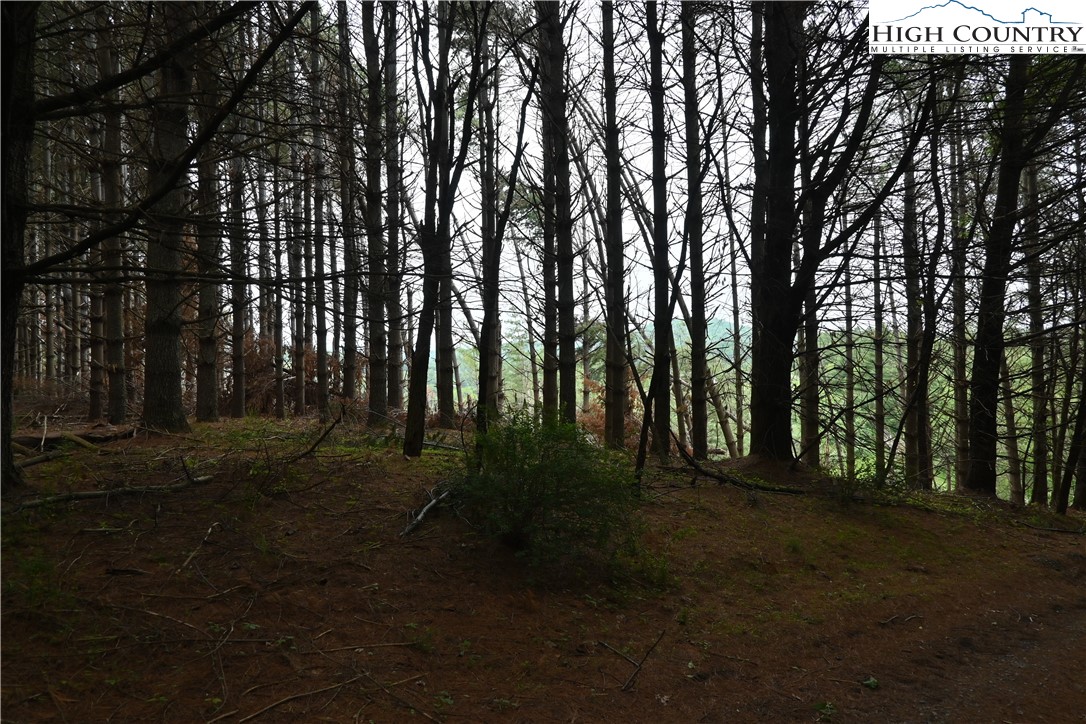 102 Tielcroft Road Property Photo 14