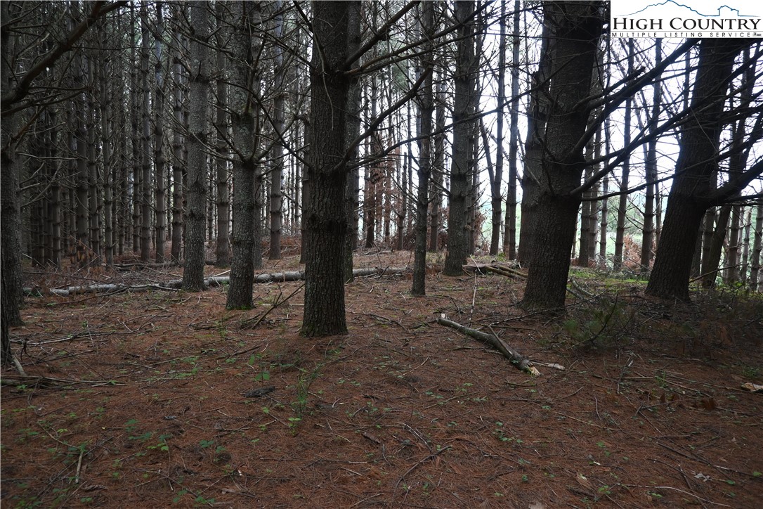 102 Tielcroft Road Property Photo 15