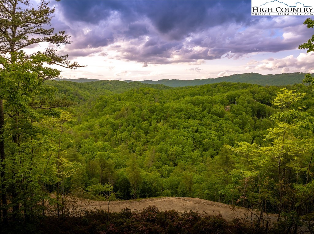 289 Ninebark Road Property Photo 1