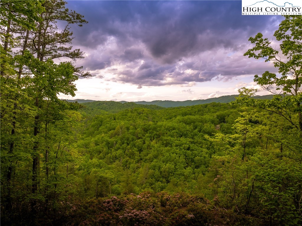 289 Ninebark Road Property Photo 2