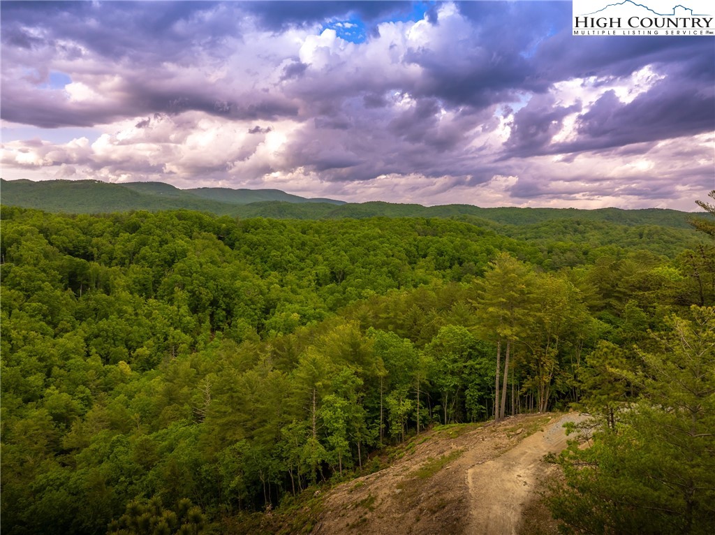 289 Ninebark Road Property Photo 5